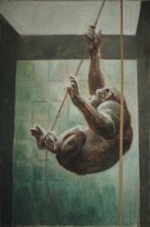 Bonobo (2).JPG