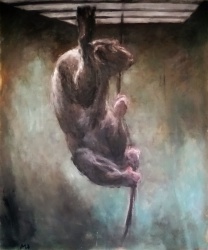 Bonobo am Seil (2).JPG